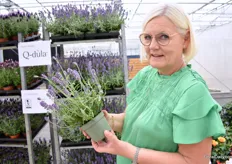 Helle Graff with the novelty Hupiter in the Q-Dula series. The Jupiter does not need a cold period to start flowering. This is exceptional for a lavender and makes it extra interesting for growers as it reduces handling and increases production. In addition, this plant has very good transport properties.